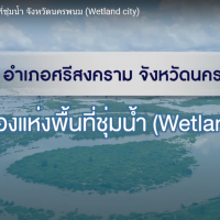ศรีสงครามเมืองแห่งพื้นที่ชุ่มน้ำ จังหวัดนครพนม (Wetland city)