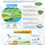 1 พื้นที่ชุ่มน้ำคืออะไร (Wetlands) (นิทรรศการวันพื้นที่ชุ่มน้ำ67-1)